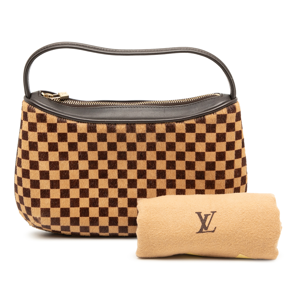 Pre-Loved Louis Vuitton Damier Sauvage Tigre - Picture 8 of 8